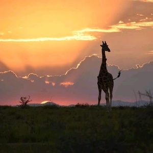 Meet your Posher, Marlene